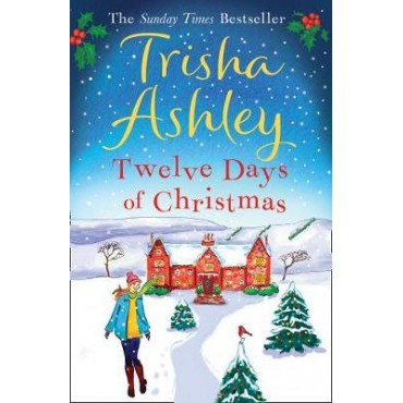 Twelve Days of Christmas         {USED}